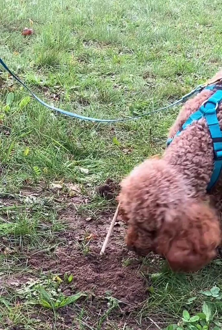 Claudi, Chris & Lilly